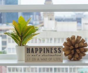The How of Happiness